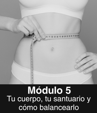 mod 5 gm